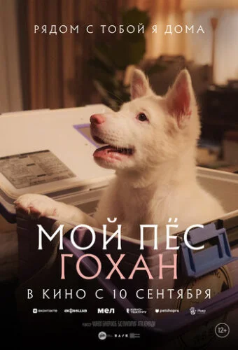 Мой пёс Гохан